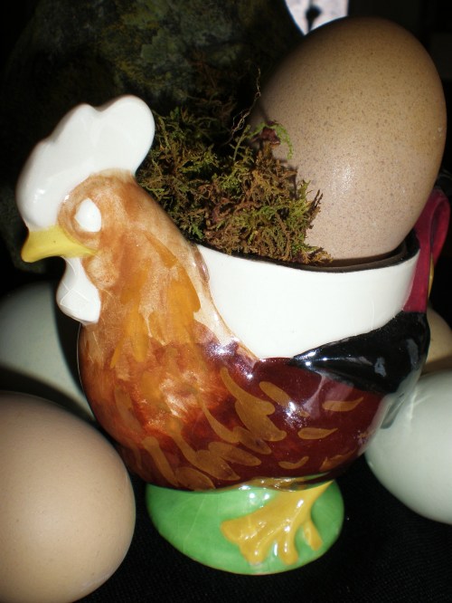 chicken-egg-cup-and-brown-eggs