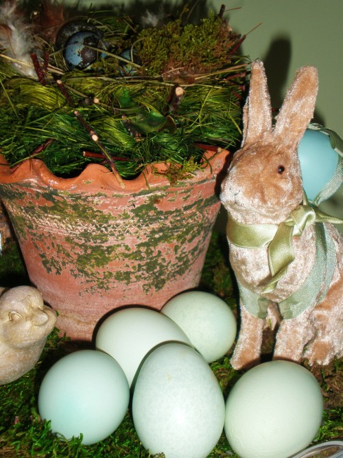 eggs-bunny-and-moss-pot