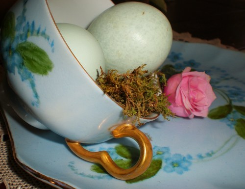 forget-me-not-eggs-pink-rose