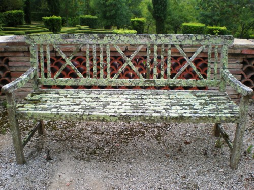 Bench with lichen FAV