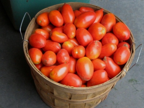 bushel of tomatoes