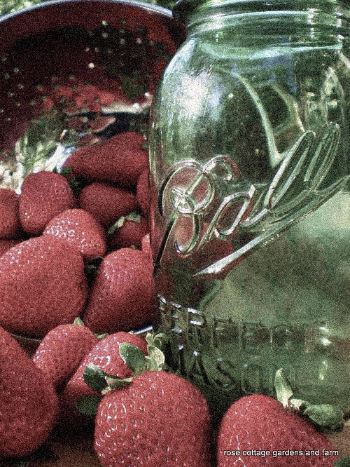 green-ball-jar-and-strawberries