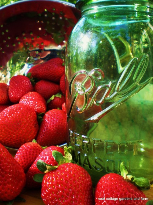 Green Ball Jar and Strawberries